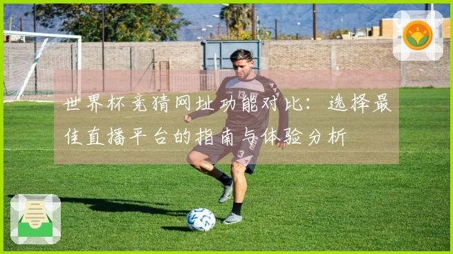 世界杯竞猜网址功能对比：选择最佳直播平台的指南与体验分析