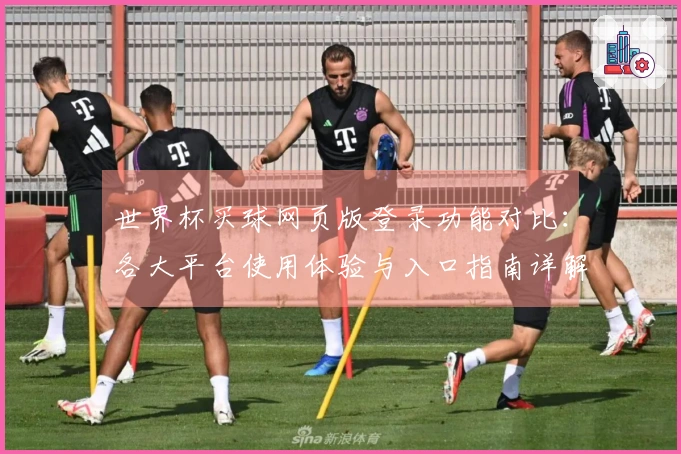 世界杯买球网页版登录功能对比：各大平台使用体验与入口指南详解