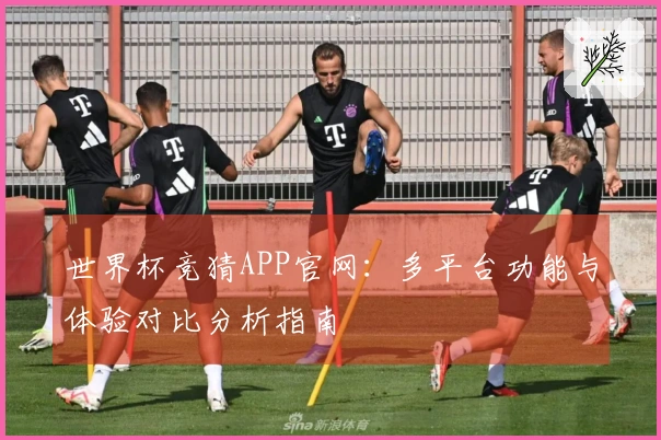 世界杯竞猜APP官网：多平台功能与体验对比分析指南