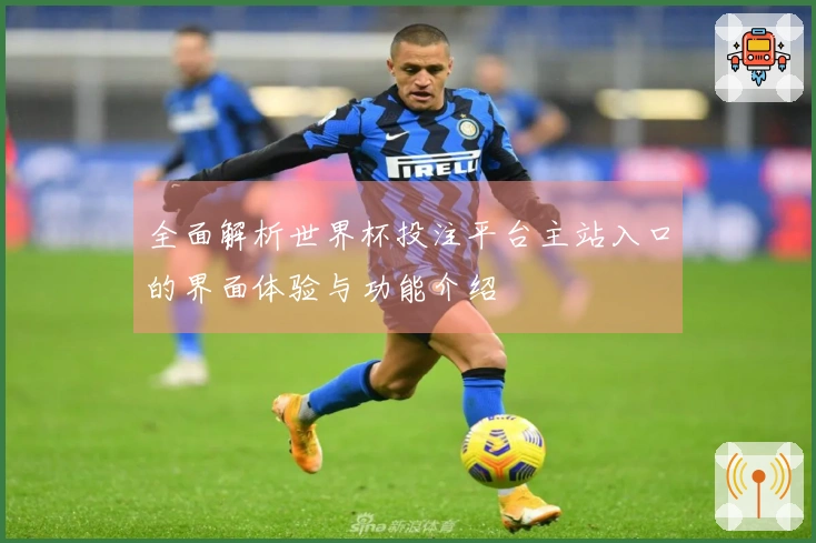全面解析世界杯投注平台主站入口的界面体验与功能介绍