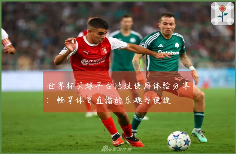世界杯买球平台地址使用体验分享：畅享体育直播的乐趣与便捷