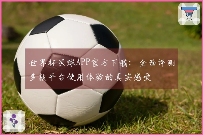 世界杯买球APP官方下载：全面评测多款平台使用体验的真实感受