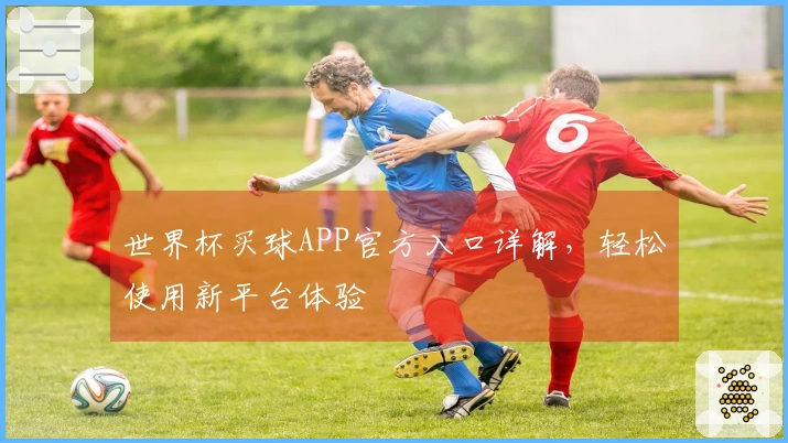 世界杯买球APP官方入口详解，轻松使用新平台体验