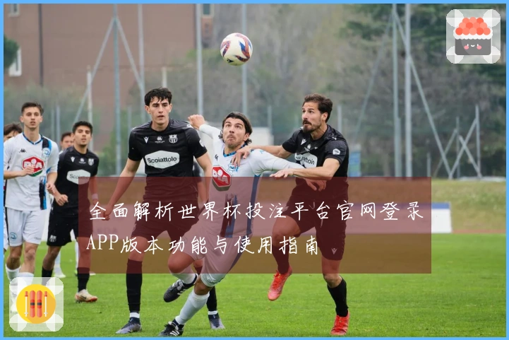 全面解析世界杯投注平台官网登录APP版本功能与使用指南