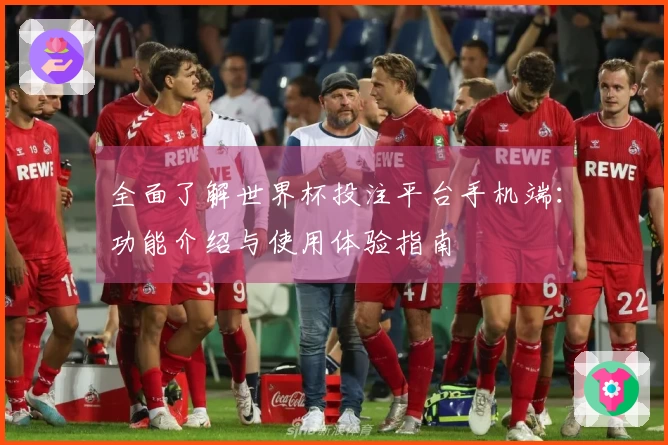 全面了解世界杯投注平台手机端：功能介绍与使用体验指南