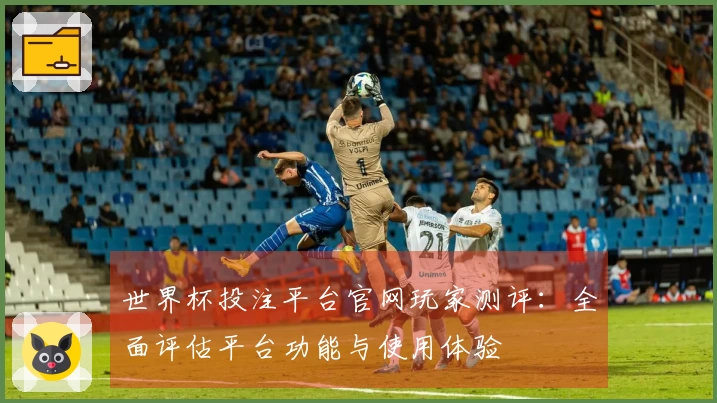 世界杯投注平台官网玩家测评：全面评估平台功能与使用体验