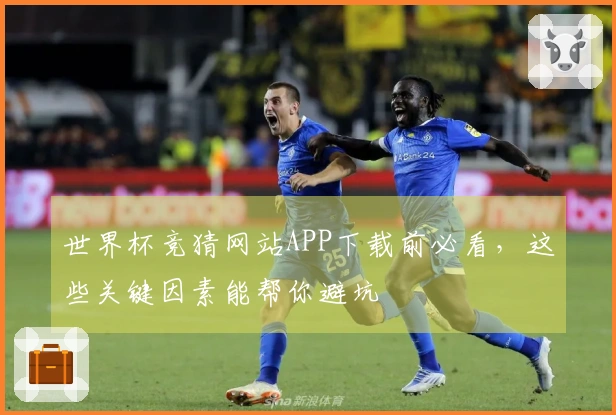 世界杯竞猜网站APP下载前必看，这些关键因素能帮你避坑