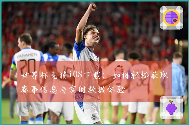世界杯竞猜iOS下载：如何轻松获取赛事信息与实时数据体验