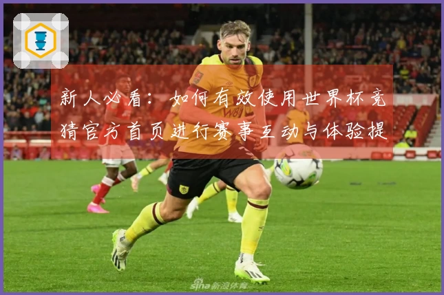 新人必看：如何有效使用世界杯竞猜官方首页进行赛事互动与体验提升