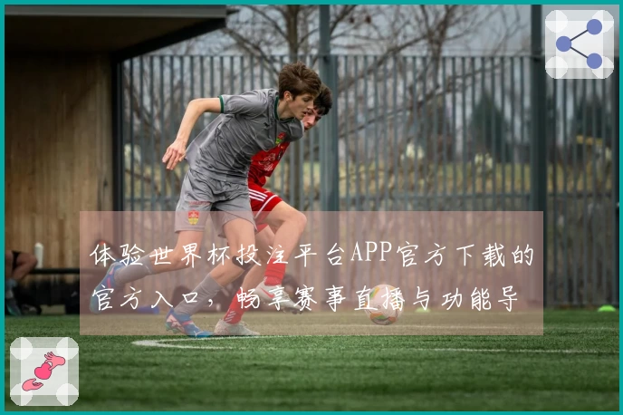 体验世界杯投注平台APP官方下载的官方入口，畅享赛事直播与功能导览