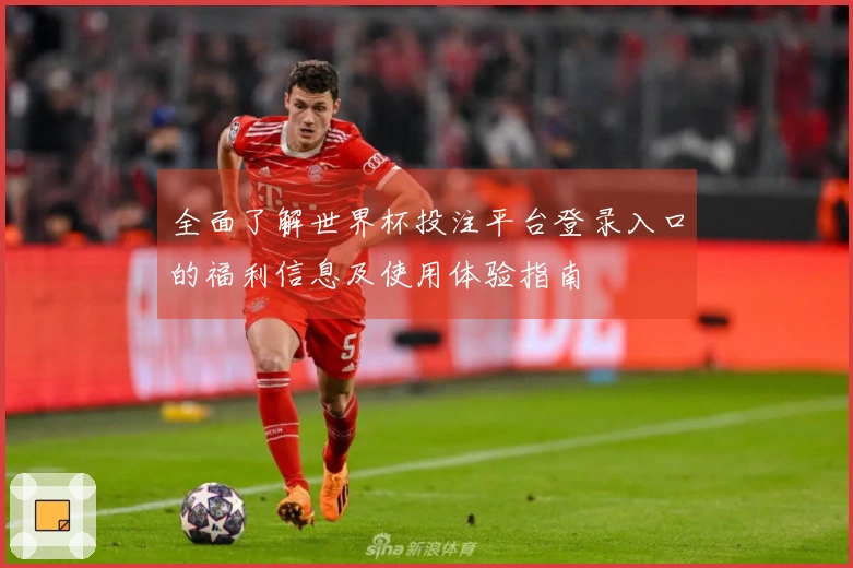 全面了解世界杯投注平台登录入口的福利信息及使用体验指南