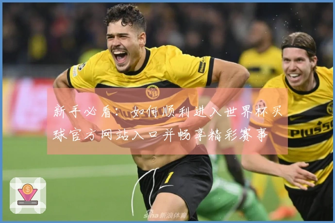 新手必看：如何顺利进入世界杯买球官方网站入口并畅享精彩赛事