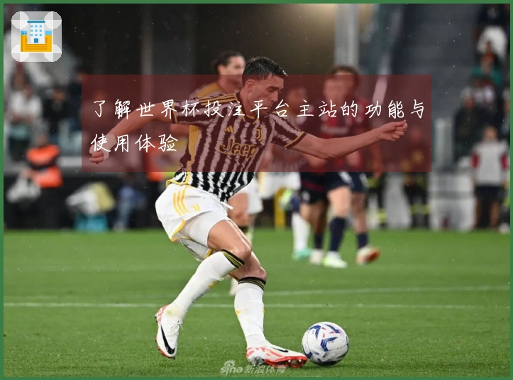 了解世界杯投注平台主站的功能与使用体验